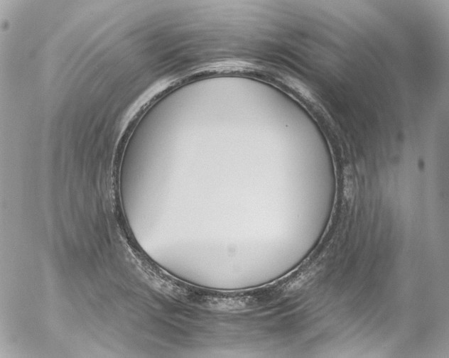 X0000052551229200507221443