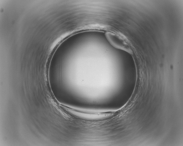 X0000052551230200507221443