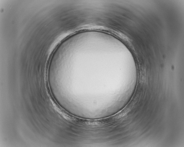 X0000052551231200507221443