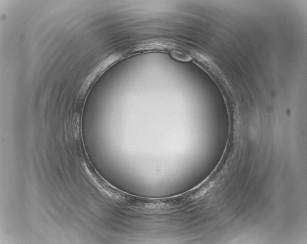 X0000052551233200507221443