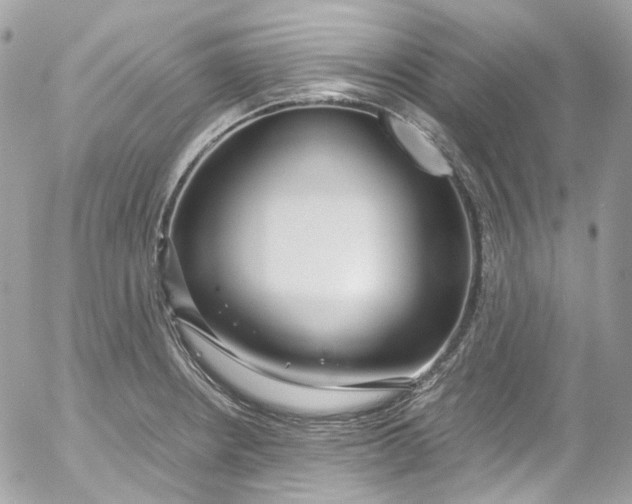 X0000052551234200507221443