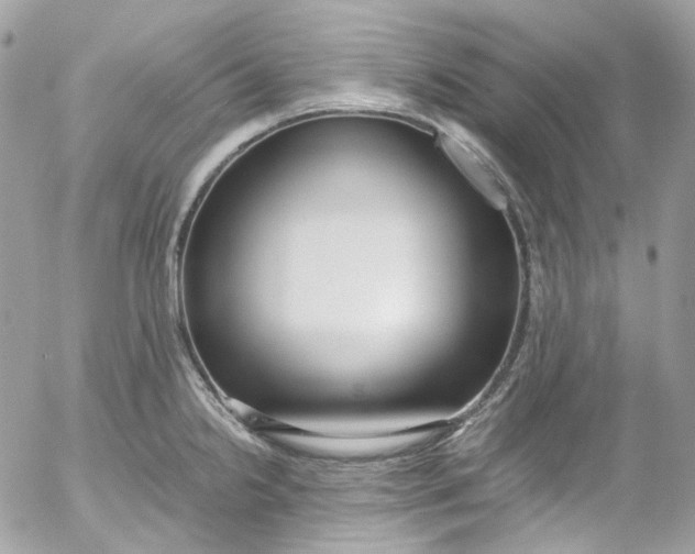 X0000052551238200507221443