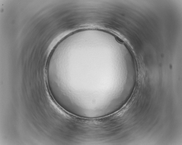 X0000052551239200507221443