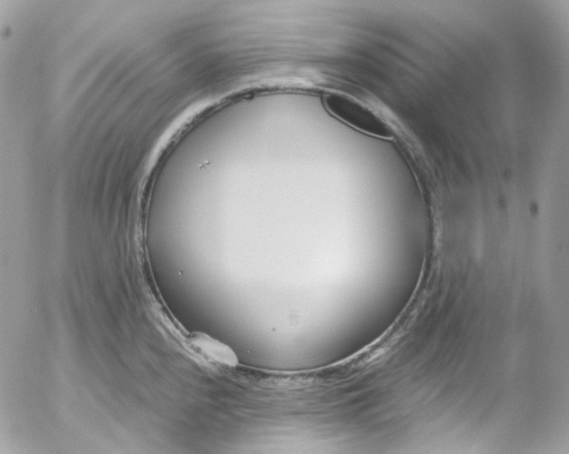 X0000052551240200507221443