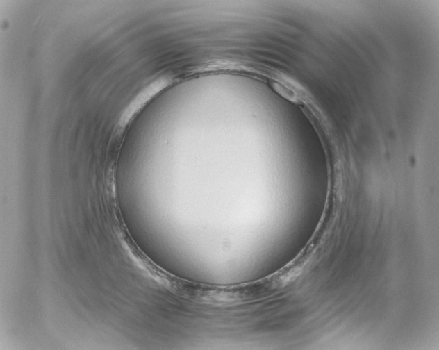 X0000052551241200507221443