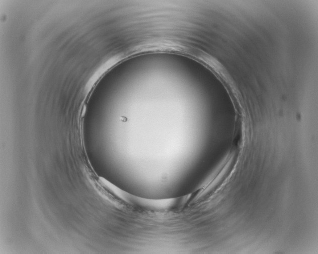 X0000052551242200507221443