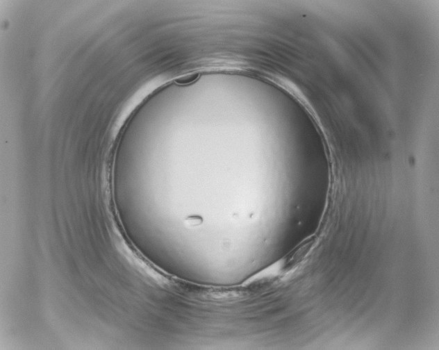 X0000052551243200507221443