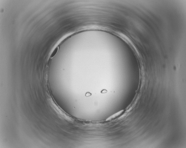 X0000052551244200507221443