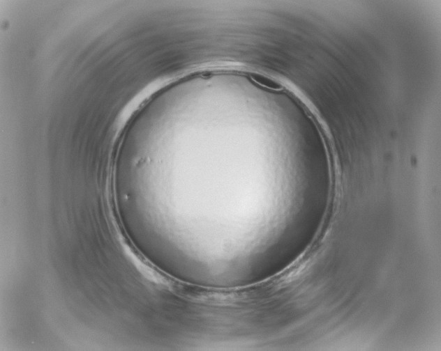 X0000052551245200507221443