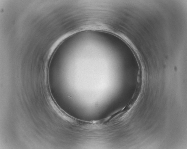 X0000052551246200507221443