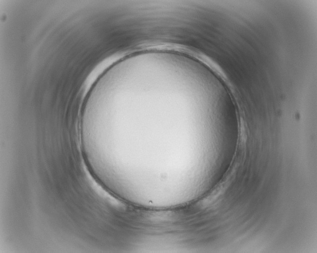 X0000052551247200507221443