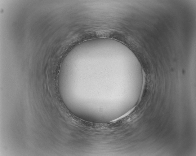 X0000052551249200507221442