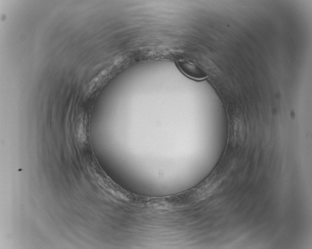 X0000052551250200507221442