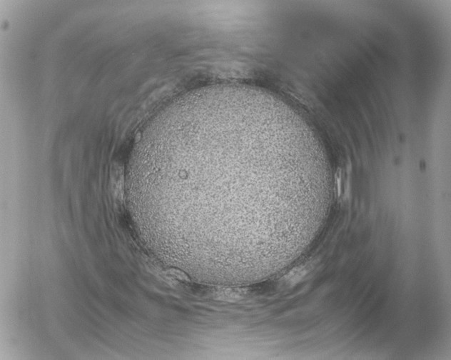 X0000052551251200507221442