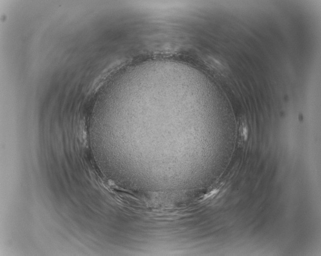 X0000052551252200507221442