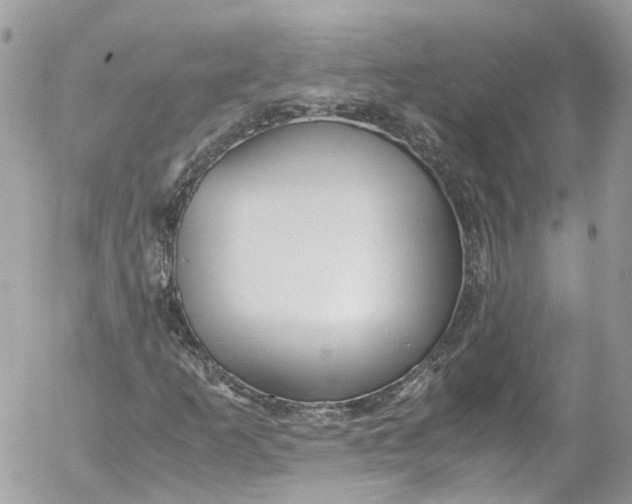 X0000052551253200507221442