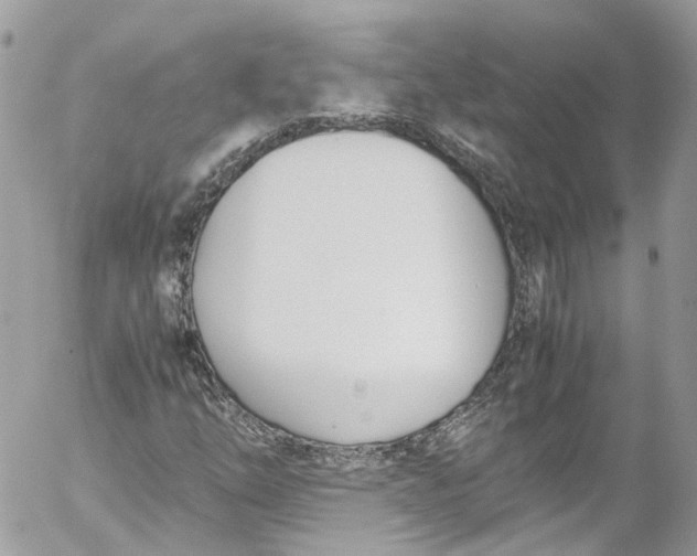 X0000052551254200507221442