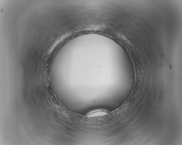 X0000052551256200507221442