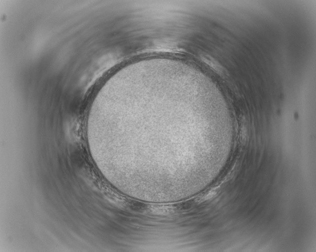 X0000052551258200507221442