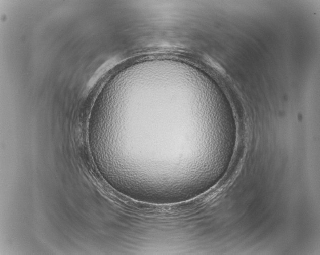 X0000052551259200507221442