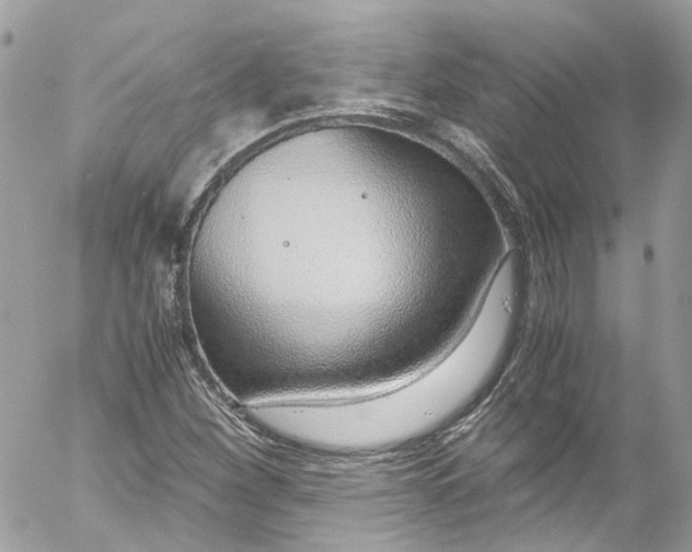 X0000052551260200507221442