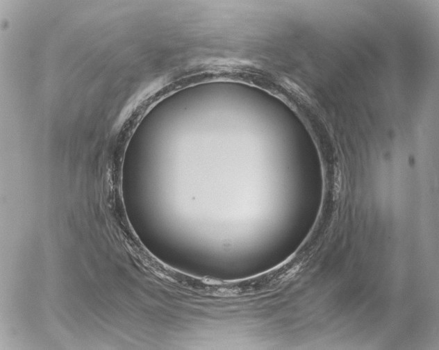 X0000052551261200507221442