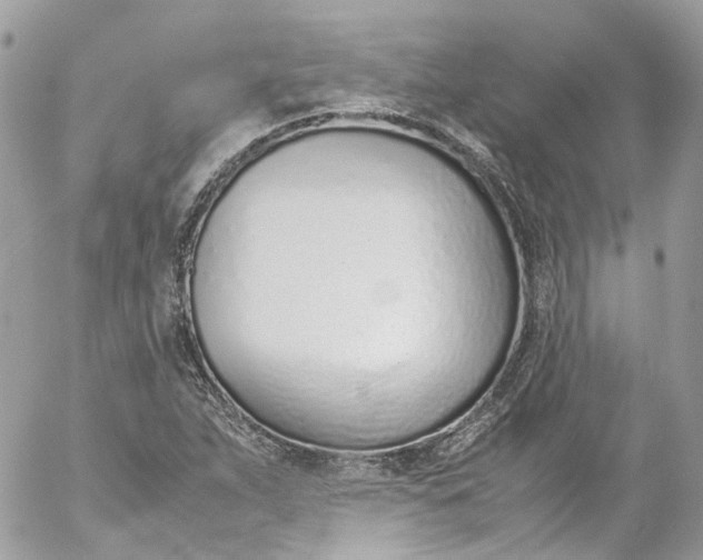 X0000052551263200507221442