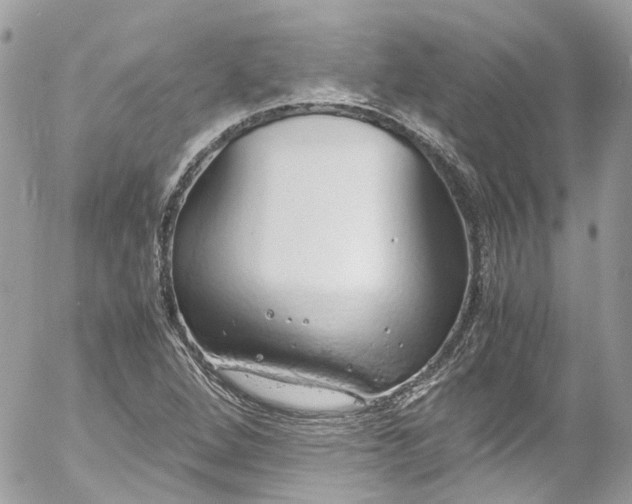 X0000052551264200507221442