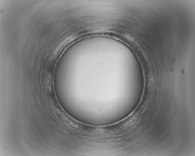 X0000052551265200507221442