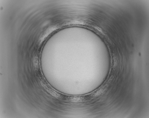 X0000052551266200507221442