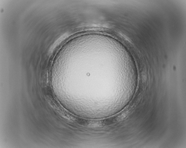 X0000052551267200507221442