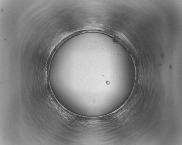 X0000052551268200507221442