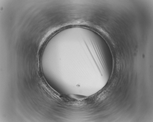 X0000052551270200507221442