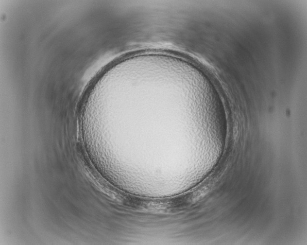 X0000052551271200507221442