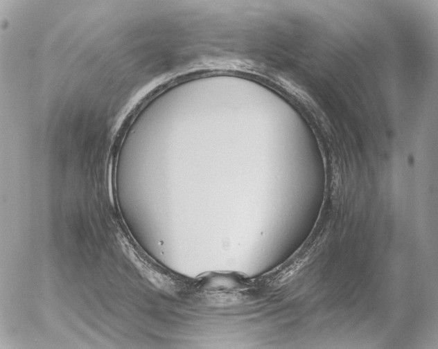 X0000052551272200507221442