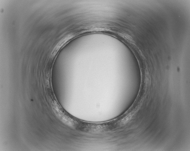 X0000052551273200507221442