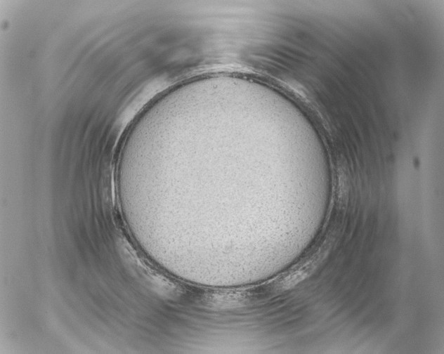 X0000052551274200507221442