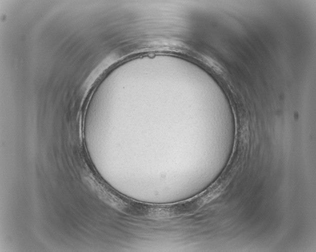 X0000052551275200507221442