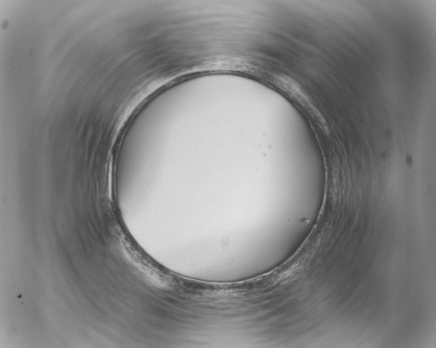 X0000052551276200507221442