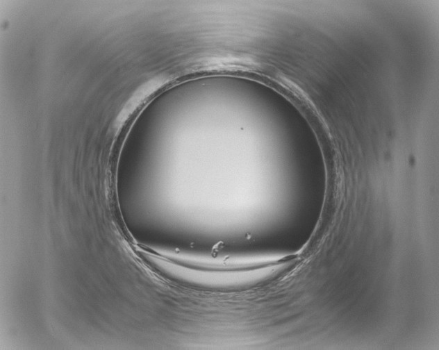 X0000052551277200507221442