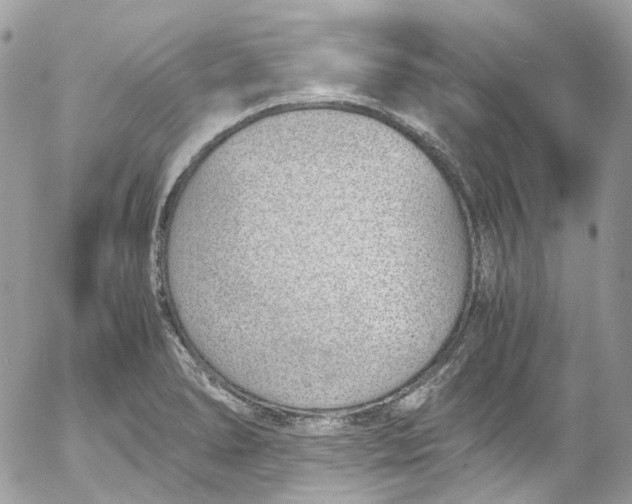 X0000052551278200507221442