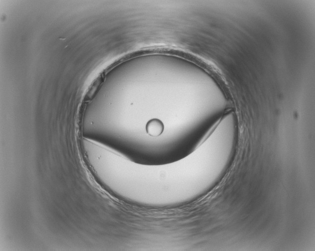 X0000052551279200507221442