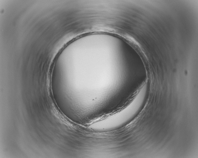 X0000052551280200507221442