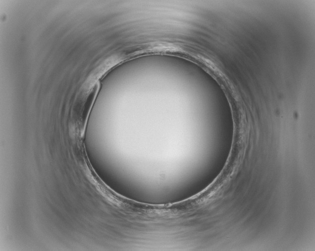 X0000052551281200507221442