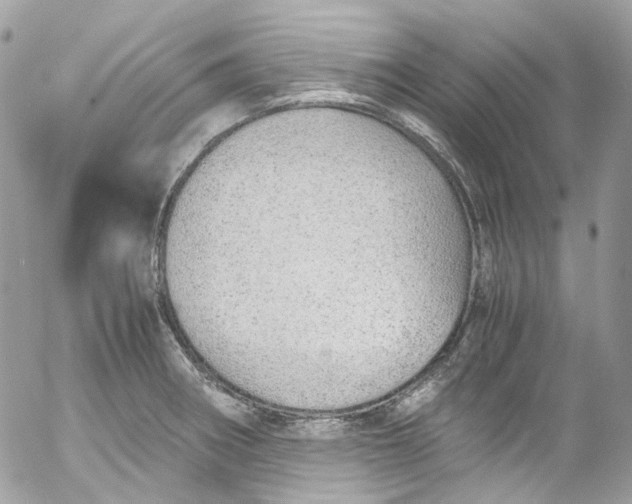 X0000052551282200507221442