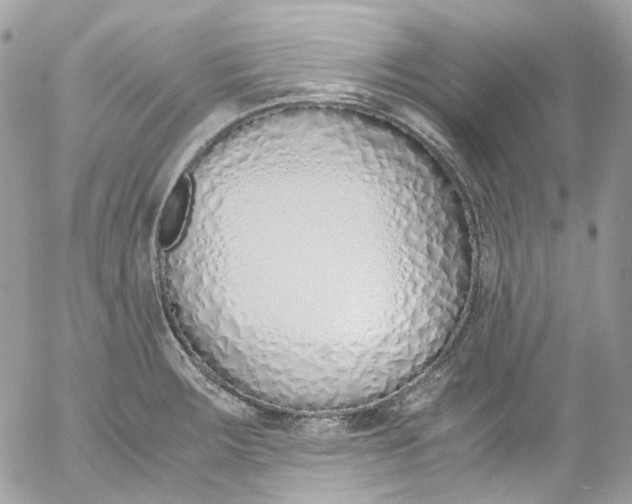 X0000052551283200507221442