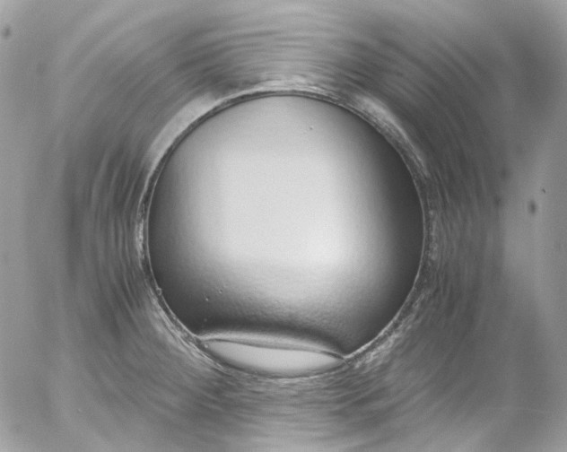 X0000052551284200507221442