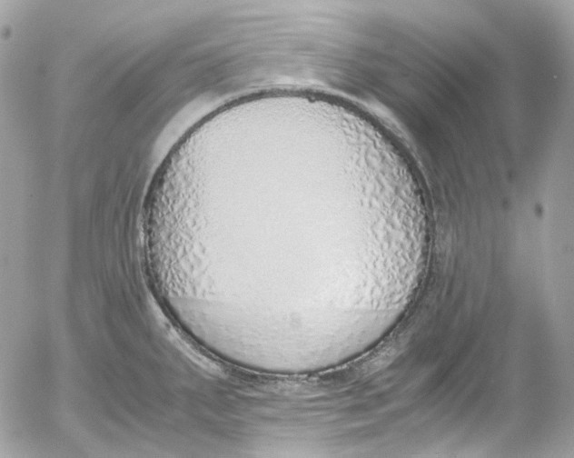 X0000052551287200507221441