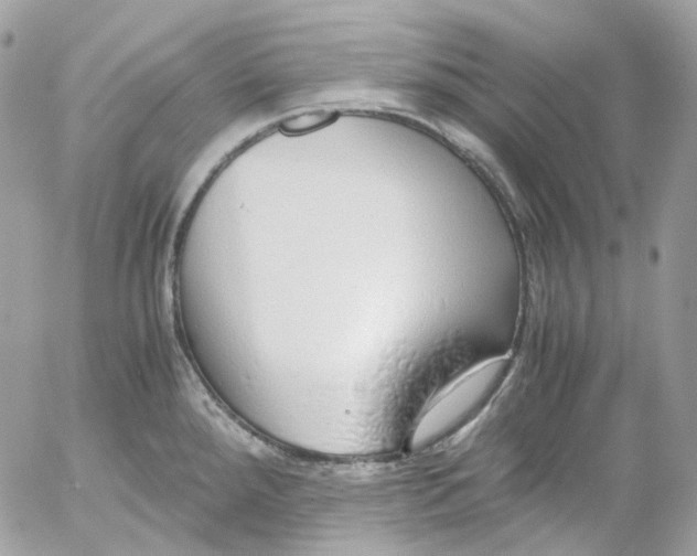 X0000052551288200507221441