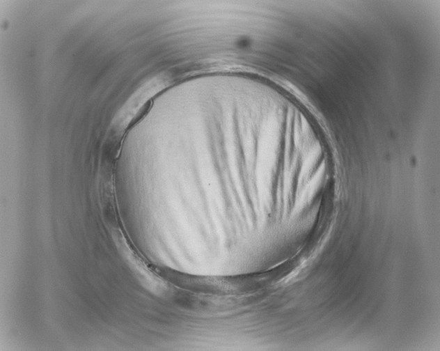 X0000052551289200507221441